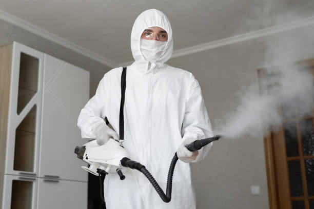 Environmental Consulting for Mold Prevention in Oakwood, IL